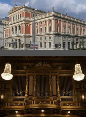 Wiener Philharmoniker 1/25 Oz Platina