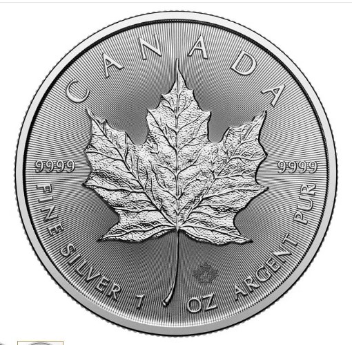 Zaujímavosti o investičných minciach Maple Leaf